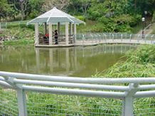 元朗公園設有中國式湖心亭。 香港