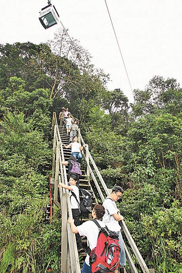 走在昂坪棧道上,你還可和纜車上的乘客揮手 Say Hi,吊鐘花林在近山頂處。 香港