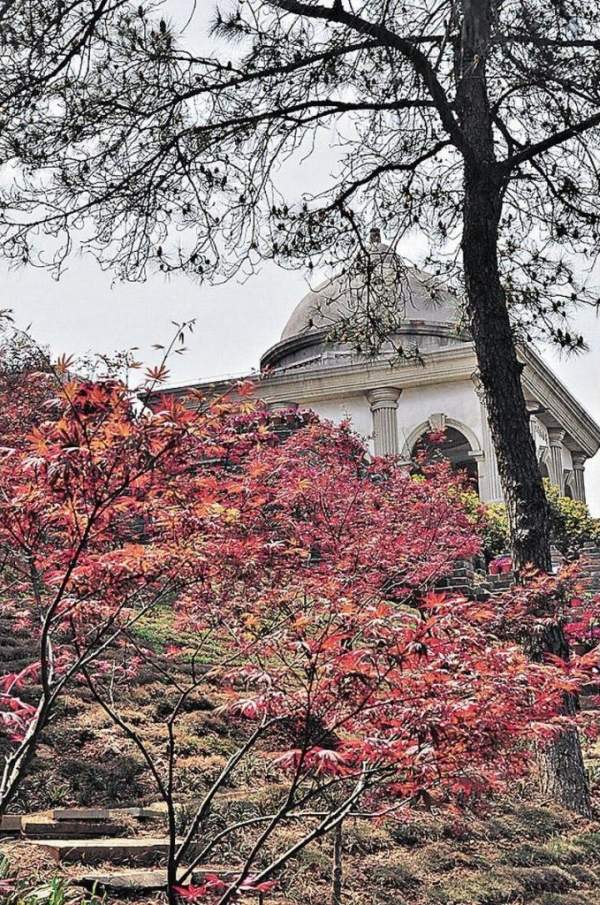 各個季節,辛亥革命紀念園還有不同的花卉、樹木點綴。 武漢市