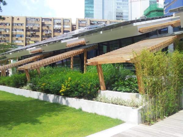 綠化面積超過五成 有助減低熱島效應 香港