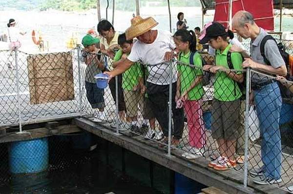 漁民講解(網上圖片) 香港
