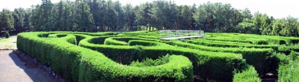 金寧迷宮公園 濟州