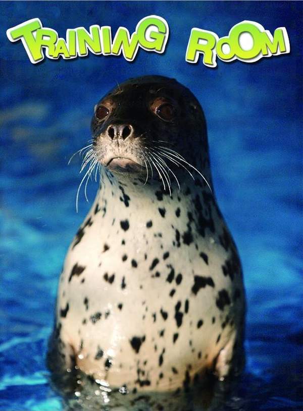 海豹訓練堂 哈爾濱