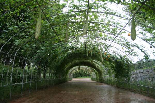公園由和平公園、蘭芝川公園、蘭芝漢江公園、天空公園及彩霞公園建構而成 首爾