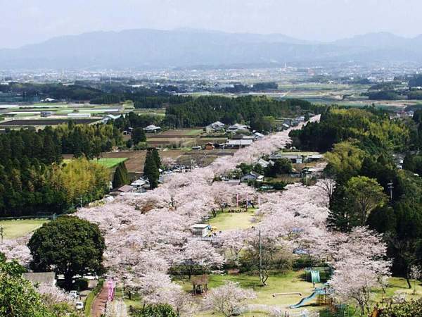 宮崎