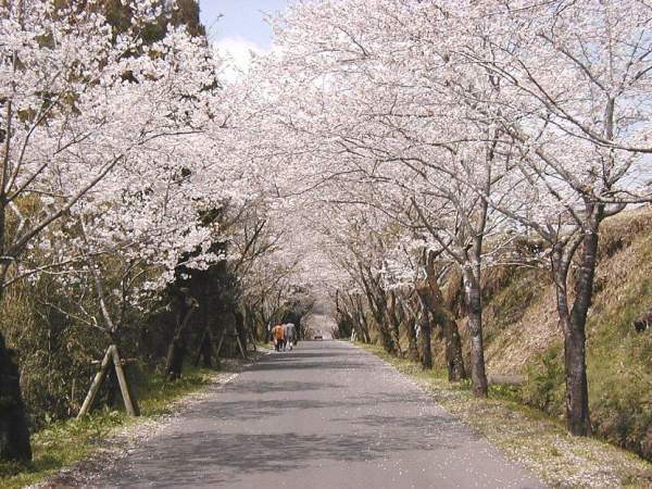 宮崎