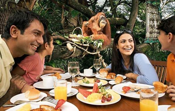 新加坡