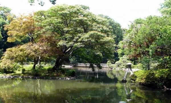 東京