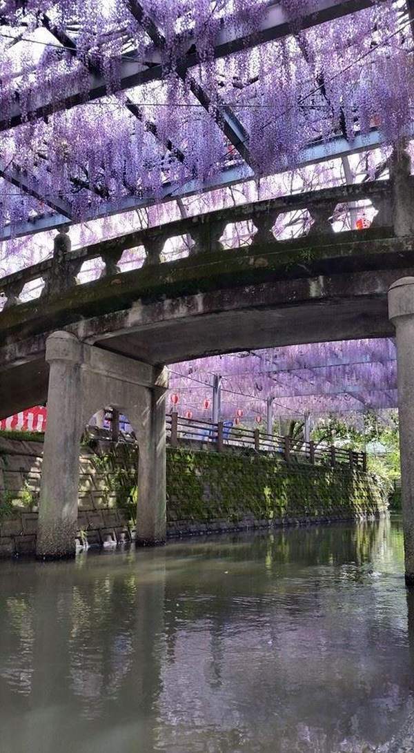 FB@柳川市観光課