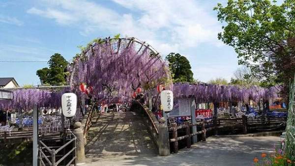 FB@柳川市観光課