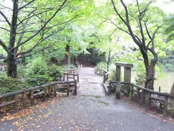 東京 吉祥寺 井之頭 井の頭恩賜公園 杜如風 TVB 東京攻略 賞櫻 三鷹之森 吉卜力博物館