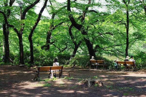 東京 吉祥寺 井之頭 井の頭恩賜公園 杜如風 TVB 東京攻略 賞櫻 三鷹之森 吉卜力博物館