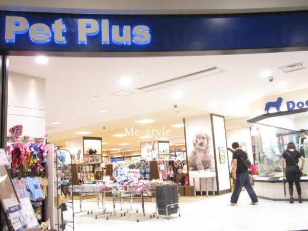 日本 東京 台場 購物 Pet Plus 寵物店 tvb 東京攻略 杜如風