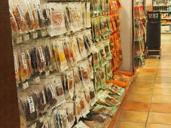 日本 東京 台場 購物 Pet Plus 寵物店 tvb 東京攻略 杜如風