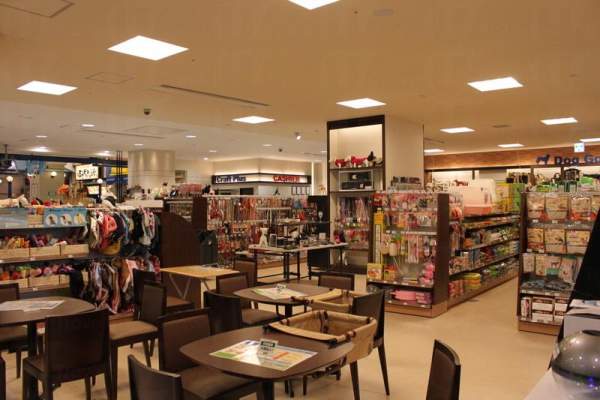 日本 東京 台場 購物 Pet Plus 寵物店 tvb 東京攻略 杜如風