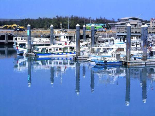 台灣 台中 梧樓漁港 漁市場 台灣版築地 海鮮 新鮮海鮮 