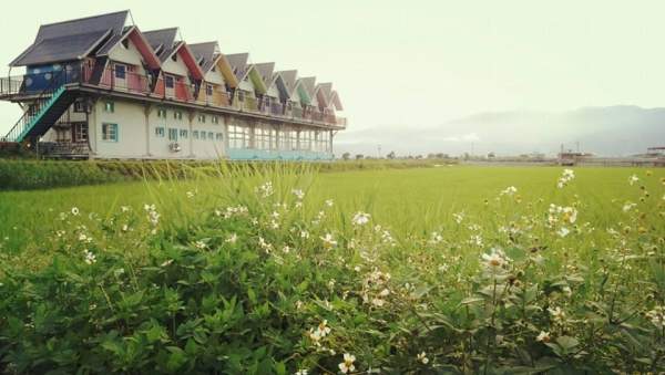 民宿座落於大自然之中,綠意盎然 (圖:天空島上的小木屋) 台灣 宜蘭 民宿 海景 彩虹屋 天空島 大草原 河景 倒影 礁溪