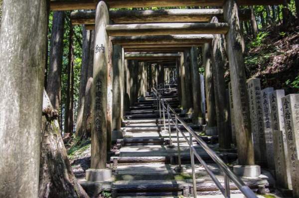 日本 關西 奈良 神社 鳥居 木鳥居 特色鳥居 雲海