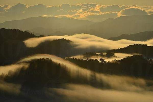 日本 關西 奈良 神社 鳥居 木鳥居 特色鳥居 雲海