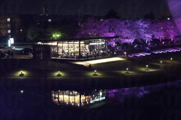 (圖: huglog) 中部其他