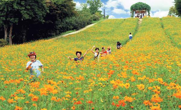 韓國 首爾 公園 奧運 賞花