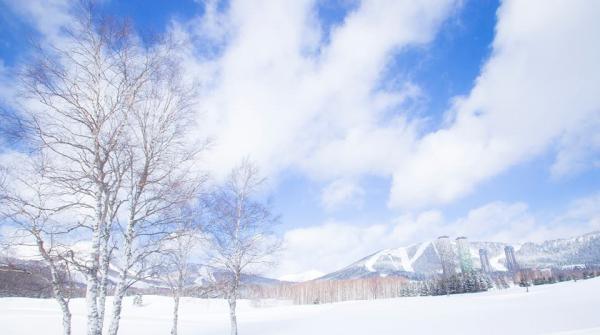 日本 北海道 勇払郡 渡假村 冰屋
