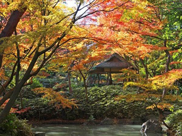 東京