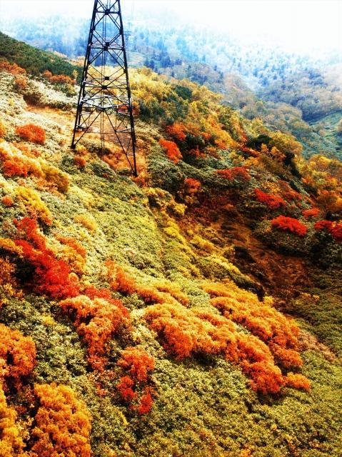 中川郡