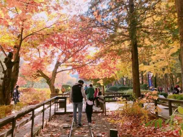 相片授權:IG@yeji0920_ 江原道