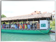 Loboc River Cruise �p�J��l�˪L