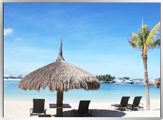 Maribago Bluewater Resort  �֨p�a�p�q