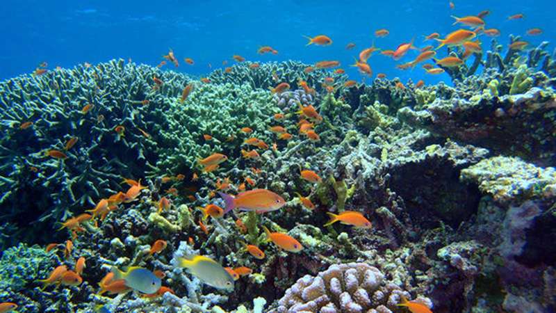 石垣島6日5夜自駕遊行程 