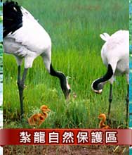 ���s�۵M�O�@��