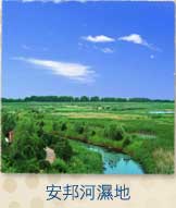 �w���e��a