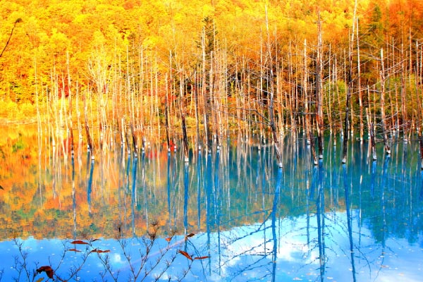 北海道紅葉景點