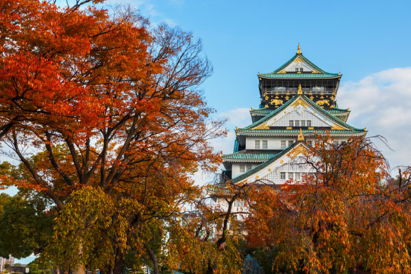 大阪紅葉景點