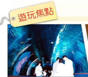 COEX �����]�@�m�������@��